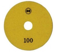 Полировочный диск 100 (10шт)