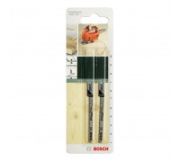 2 ПИЛКИ ЛОБЗ. TE119BO HCS