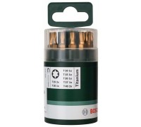 10 БИТ TORX 25 ММ TIN