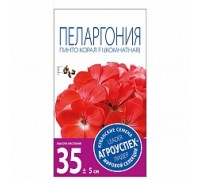 Пеларгония Пинто Корал 4шт Агроуспех®