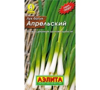 Лук батун Апрельский, Аэлита.Лидер